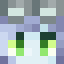 birbontop's Minecraft avatar