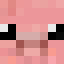 PigEye