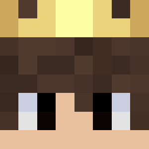 NotGamerFleet Minecraft Skin — SkinMC