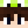 swok