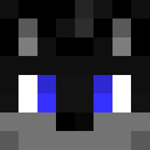 Toppyt
