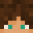 Colester_
