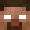 Player Skin Head