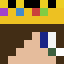 xexel561 xexel561