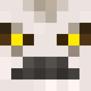 timmygordon9!