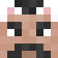 1pyry