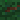 Acorn_Pie