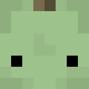 Avokado