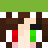 Carnoob