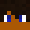 Desert_Fox2