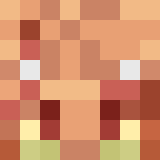 Exhaustiion Minecraft head