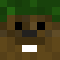 GeneralBeaver