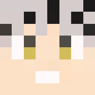 User minecraft head