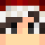 Hiztree33