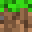 SeymourNuts
