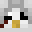penguingunter1