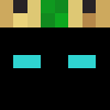 minecraft head