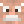 JewishGamer2015 avatar