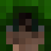 minecraft head