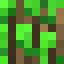 Magical_tree
