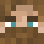 MinecraftPro