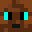 MrBearBro