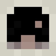 User minecraft head