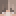 Peperoni_'s skin