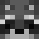 RyRaccoon