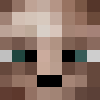 minecraft head