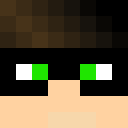 Salyx