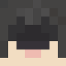 T2penguin