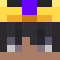 NinjaMiner18
