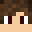 TICS_Minecraft