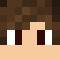 TICS_Minecraft
