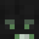 Vetoer