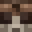 VonkyKong
