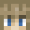 minecraft head