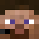 _pet