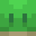 Nitro_Turtle_