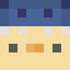Ducc_destroyer's Minecraft avatar