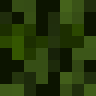 N0pter
