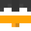 Void_lol295
