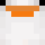 SkywalkerGoose1 SkywalkerGoose1