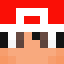 Santasdragonelf