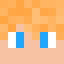 Slec
