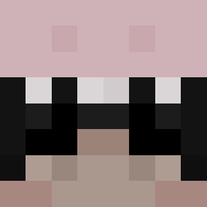 GamerBoi20017