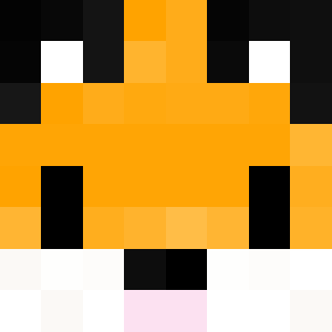 Nice_IP