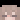 bugcel