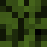 ZAGE_